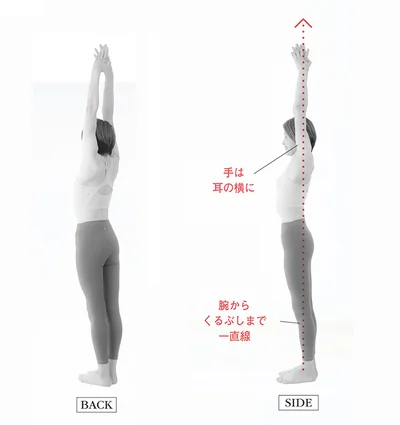 SIDE＆BACK