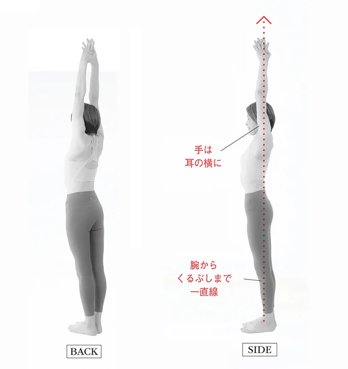 SIDE&BACK