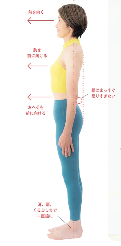 これが正しい姿勢