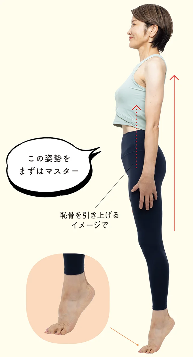 恥骨を引き上げるイメージで