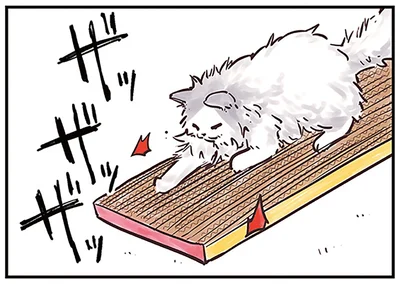 段ボールで爪研いで偉いね