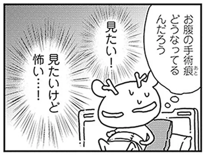 お腹の手術痕どうなってるんだろう