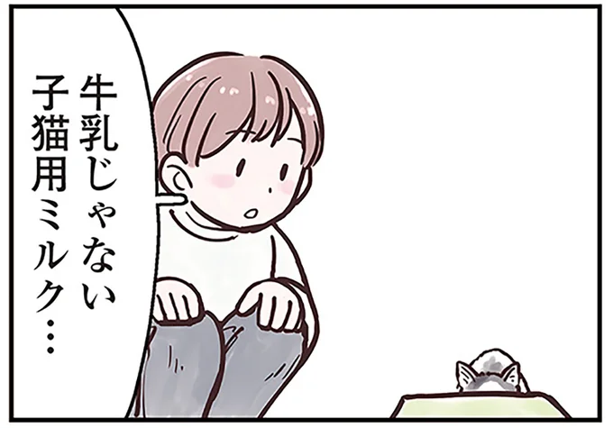 子猫用ミルク…