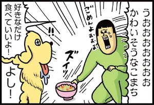 好きなだけ食べていいよ！ 他の子が食べなかったごはんに執着する犬／まめきちまめこニートの日常 こまちとタビ（2）