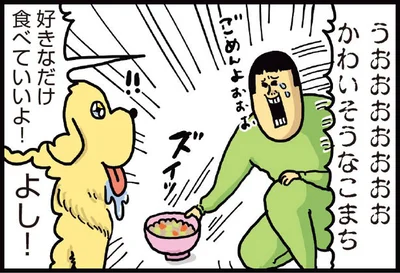 好きなだけ食べていいよ！