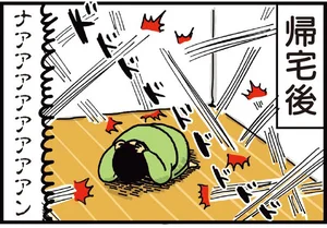 どうして家では暴れるんですか!? 動物病院に猫を連れて行ったら／まめきちまめこニートの日常 こまちとタビ（4）