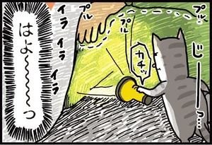 警戒心が強すぎる！ なんでも念入りに調べまくるうちの猫／まめきちまめこニートの日常 こまちとタビ（5）