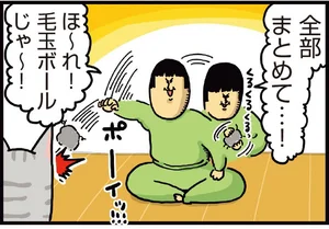 ブラッシングでできた毛玉。猫がそれで遊んだり遊ばなかったりするのはなぜ？／まめきちまめこニートの日常 こまちとタビ（7）
