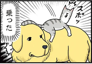 人間みたいな空気感！ 動物にも気まずい瞬間はあるらしい