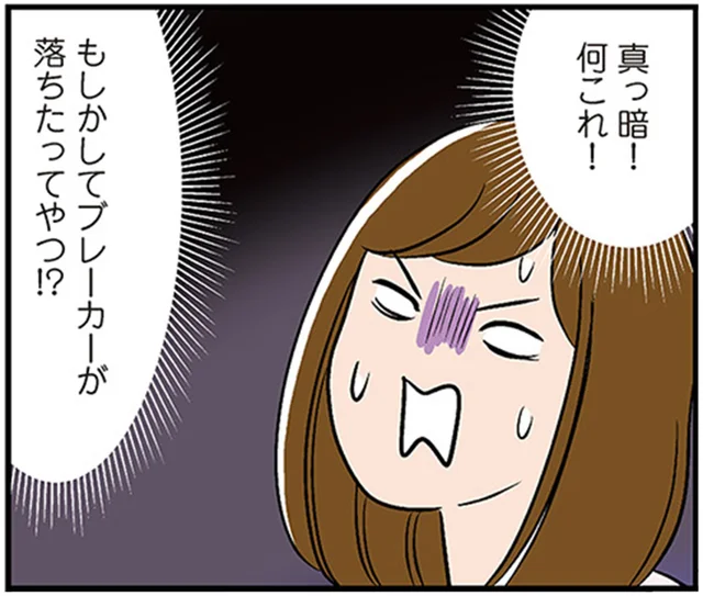 一人暮らしあるある？ブレーカーが落ちてプチパニック／ひとりぐらしもプロの域（8）