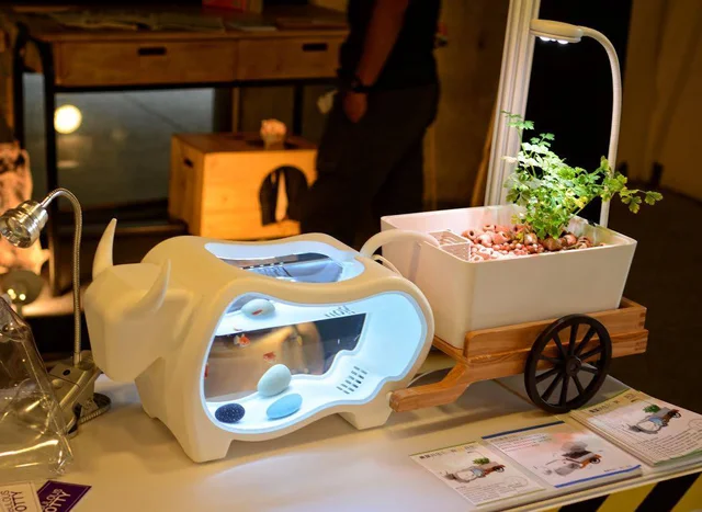 手間いらずの小さなお庭！テーブルの上で植物と魚を育てましょう