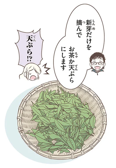 『北欧女子オーサが見つけた日本の不思議3』より