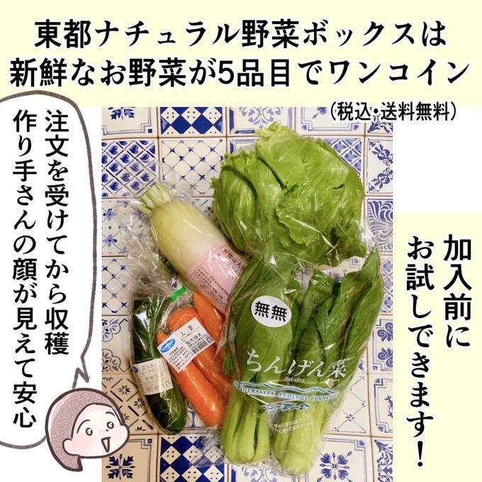 加入前にお試しできる「東都ナチュラル野菜ボックス」