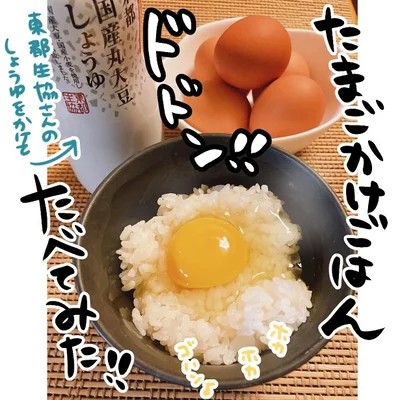 新鮮たまごが、半年間も50円で届く!?　お得すぎるキャンペーンを発見
