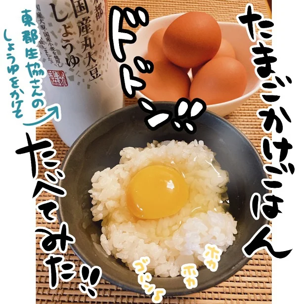 新鮮たまごが、半年間も50円で届く!?　お得すぎるキャンペーンを発見
