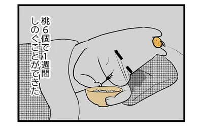 桃6個で一週間しのぐ