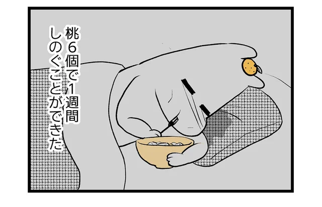 食べられるものが何もない！桃だけで一週間をしのいだ妊娠８〜９週のつわり。／つわりが怖くて２人目に踏み切れない話（3）