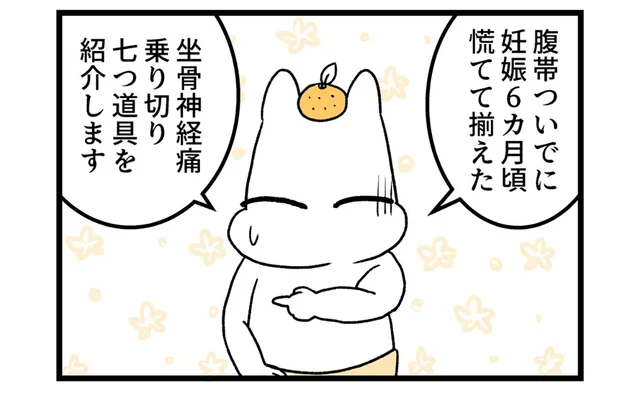 妊娠21週。坐骨神経痛を乗り切るための七つ道具とは？／つわりが怖くて２人目に踏み切れない話（11）
