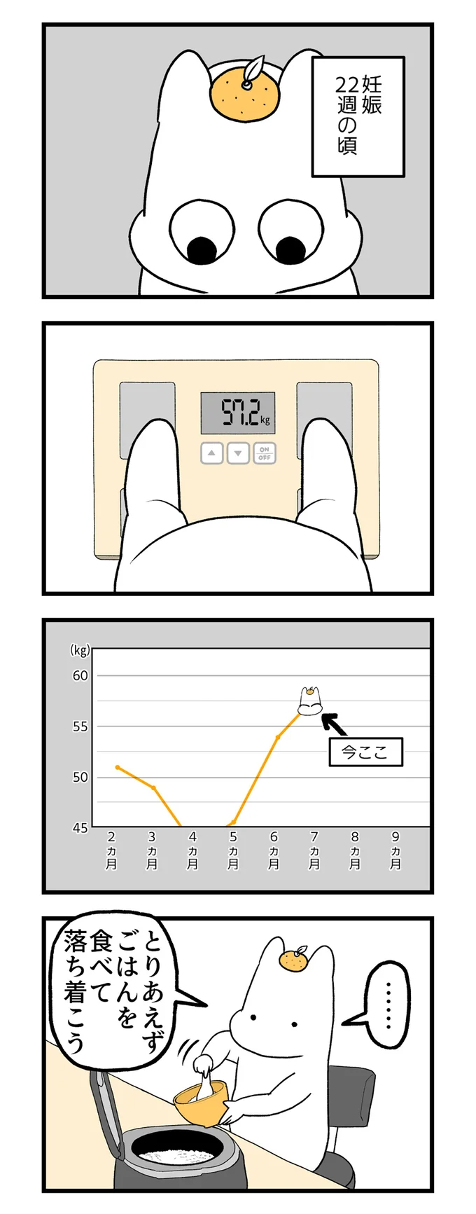 妊娠22週の頃