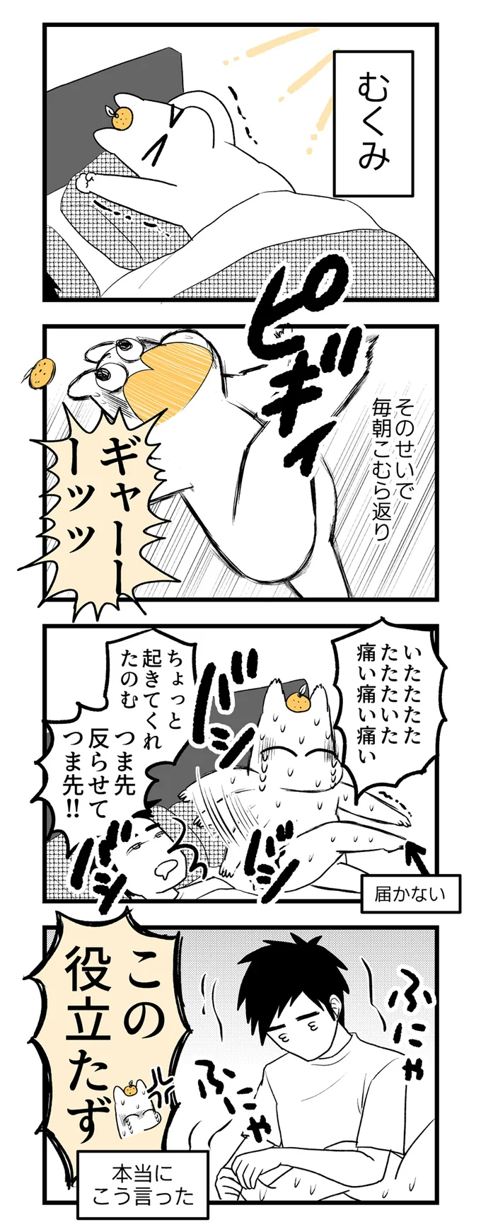 毎朝こむら返り