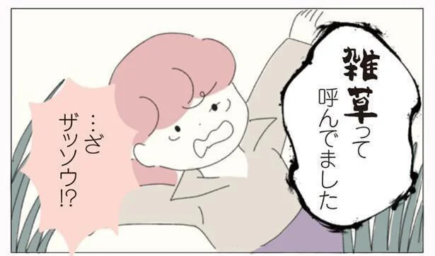 …ざ ザッソウ!?