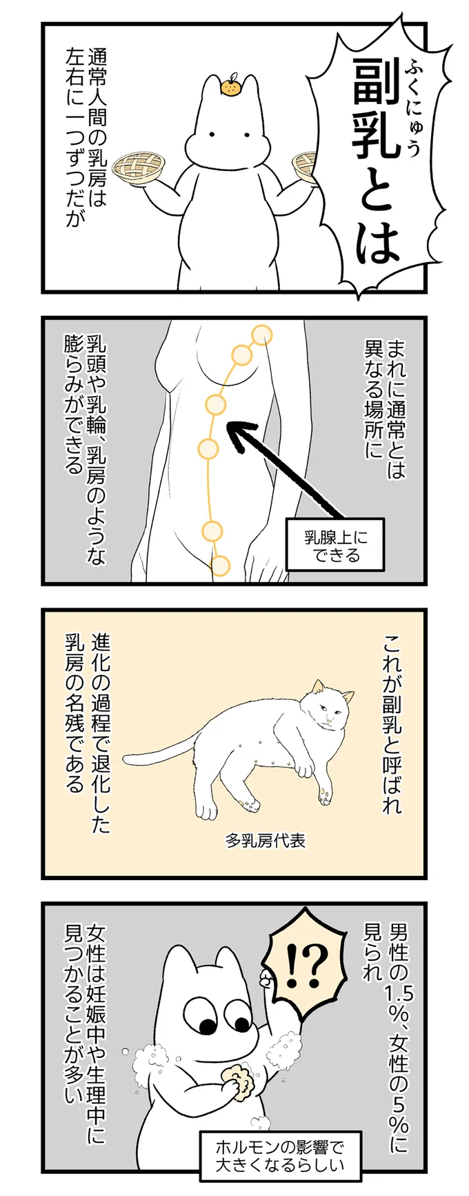 副乳とは