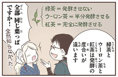 全部同じ葉っぱですか！