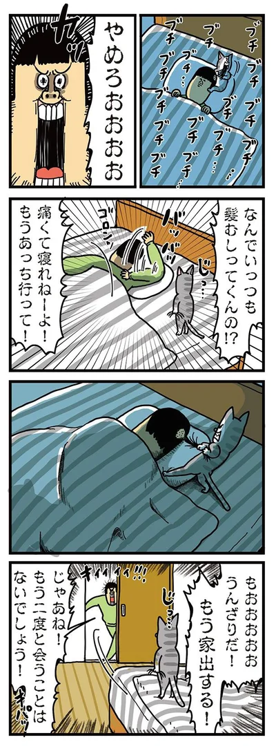猫の髪の毛むしり攻撃に嫌気がさして家出した結果