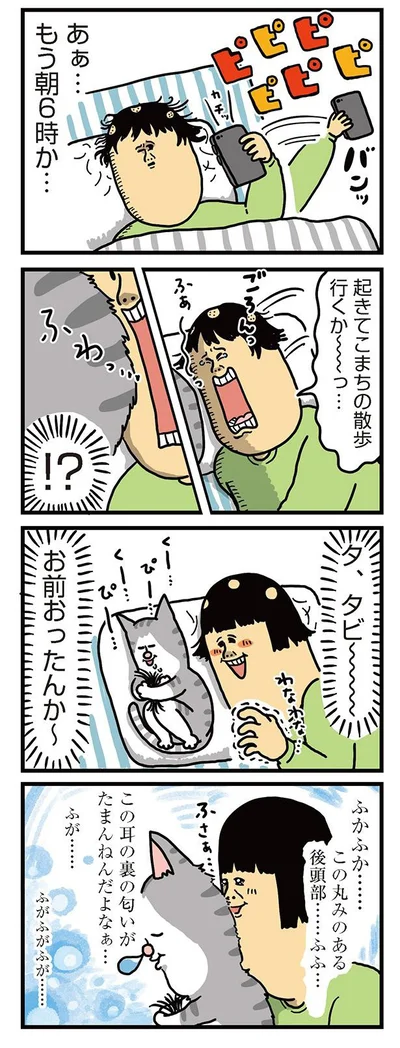 いつもこうして一日が終わっていくよ