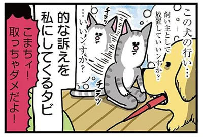 いいンすか？