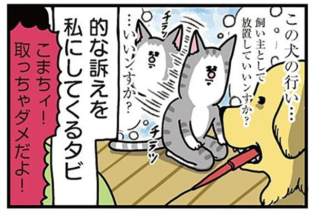いいンすか?