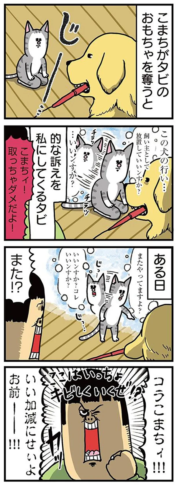先輩のイジワルには告げ口が最適だと考えた猫