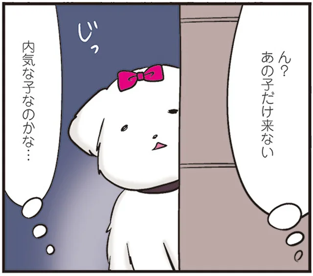 スーパーの前で飼い主を待つ犬たち。内気な子がまさかの豹変！／ひとりぐらしも極まれり（4）