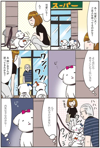 飼い主さんが戻ってきたかな？