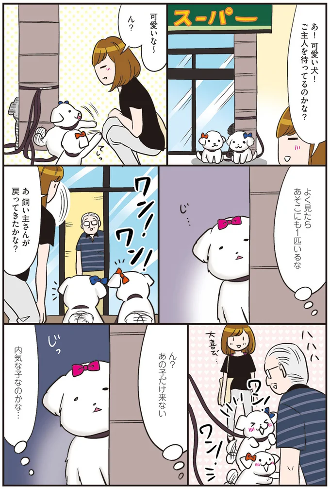 飼い主さんが戻ってきたかな？