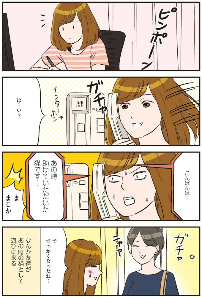 あの時助けていただいた猫です…