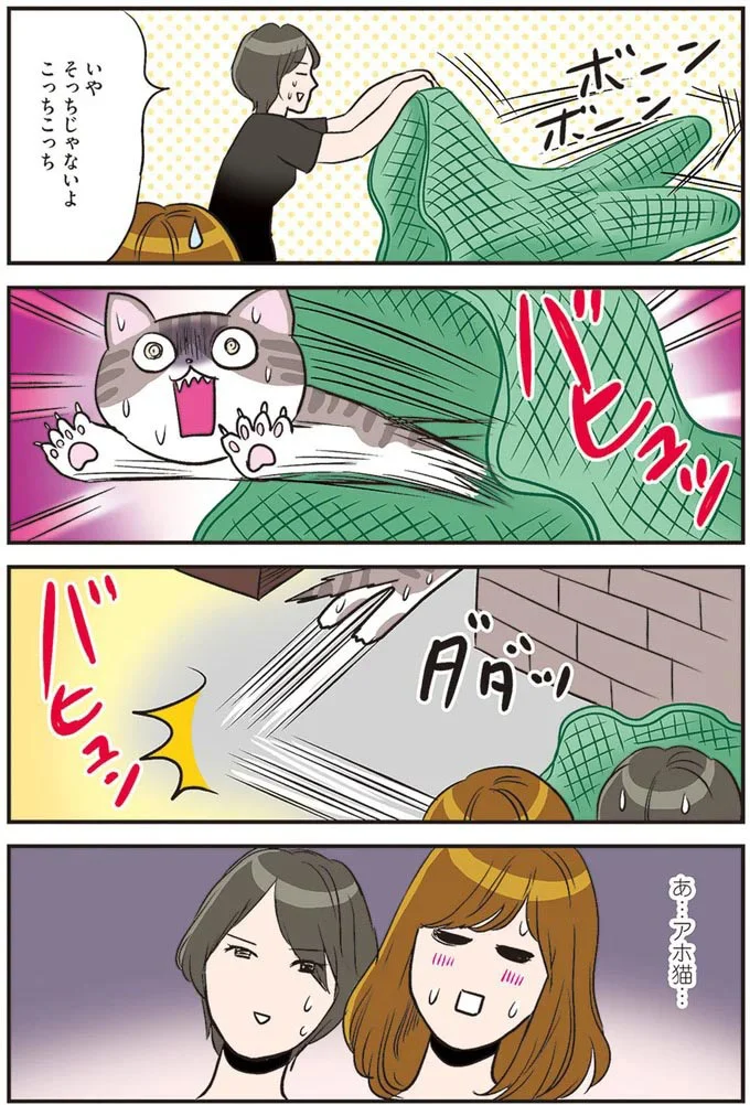 あ…アホ猫…