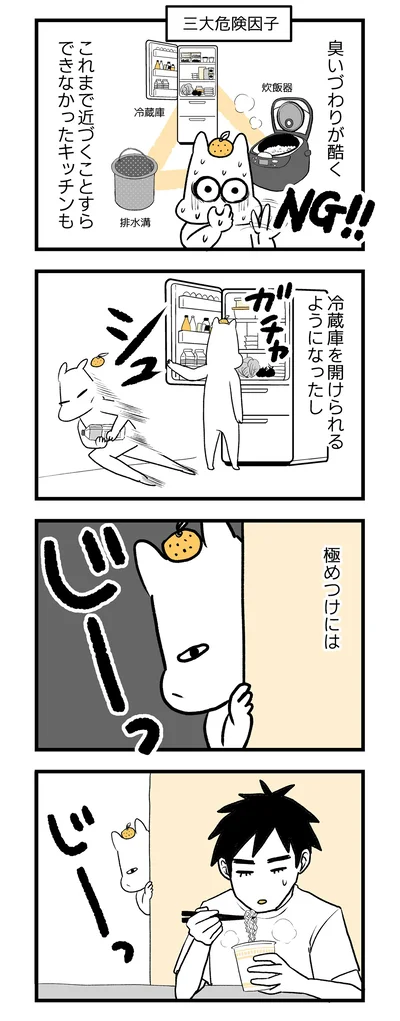 近づくことすらできなかったキッチンも