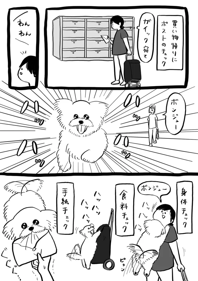 『ガイックとのフランス暮らし』より