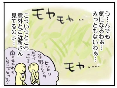 気になるわぁ