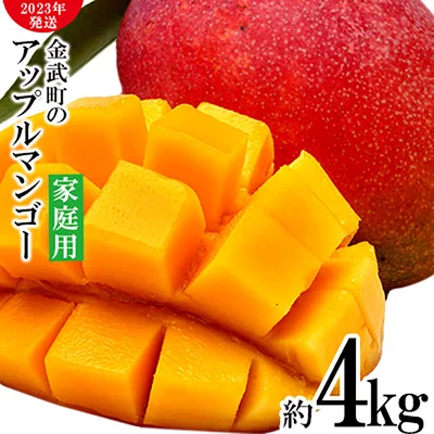 アップルマンゴーが4kg！