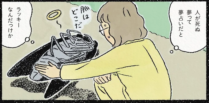 ラッキーなんだっけか