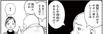 猫はんやね