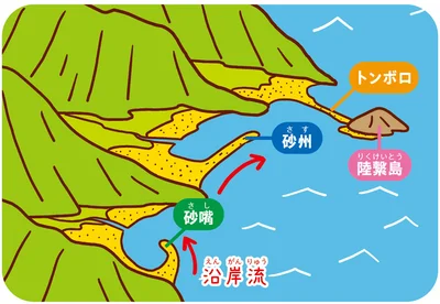 砂浜のいろいろなかたち
