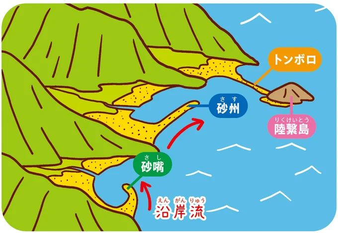 砂浜のいろいろなかたち