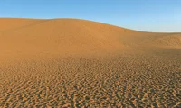 砂漠に見えて、砂漠じゃない!? 鳥取砂丘と砂漠の大きな違い／すごすぎる地理の図鑑（4）