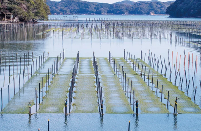 獲れる海産物を見れば、その海域の海底地形がわかる！／すごすぎる地理の図鑑（5）