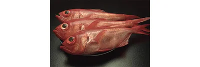 キンメダイ