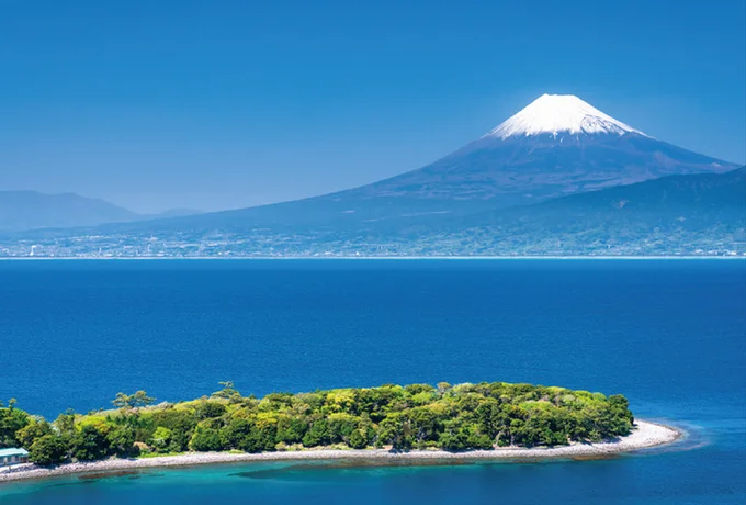 駿河湾より富士山を望む
