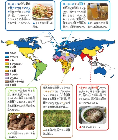 各国・地域の最大作付面積の作物（2020年）